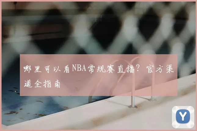 哪里可以看NBA常规赛直播？官方渠道全指南