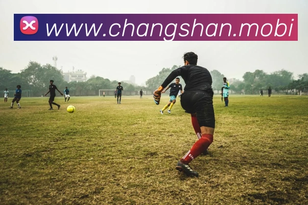 开云app网站登录全站App